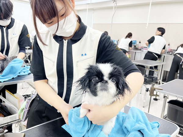 １年生のトリミング♪